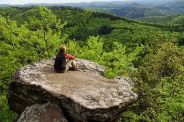 Drachenfels - Südfels