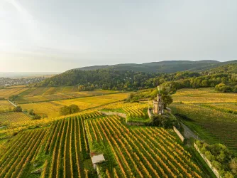 Der Flaggenturm auf den Terrassen des Fuchsmantels