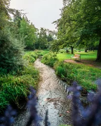 Die Isenach fließt quer durch den Kurpark