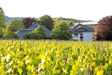 Hotel Außenansicht (© Hotel-Restaurant Fronmühle)