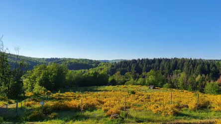 Blick vom Nahekopf auf den Truppenübungsplatz