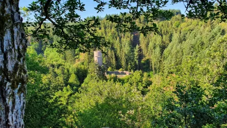 Blick auf die Frauenburg bei Frauenberg