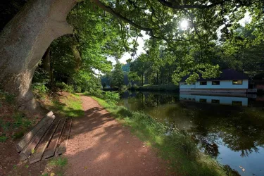 Bärenlochweiher 9056 (© VG Landstuhl, Fotograf Hafner)