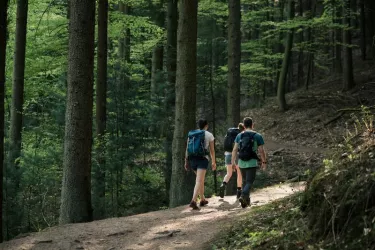 Unterwegs auf dem Uni-Villa-Wanderweg (© Quelle: TU-KL)