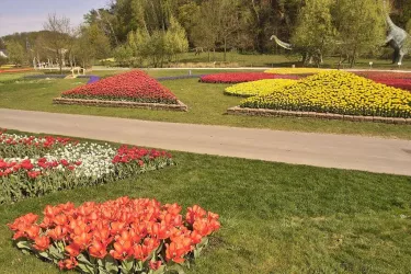 Verschiedene Blumenbeete (© Stadt Kaiserslautern)