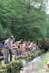 Triftfest Rinnthal (© Verein SÜW Annweiler am Trifels e.V.)