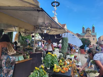 Stand auf Bauernmarkt (© Stadt Speyer)