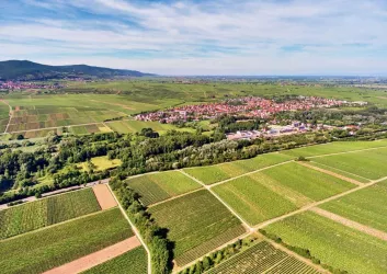 Weinlage Seitenansicht