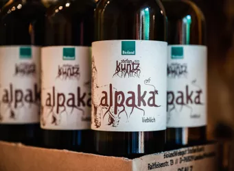 Alpaka- Bioland Weingut