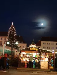 Nikolaus-Nast-Weihnachtsmarkt Landau (© Copyright Büro für Tourismus Landau)