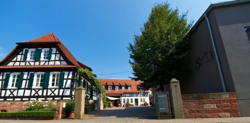 Weingut Jürgen Stentz (© Jürgen Stentz)