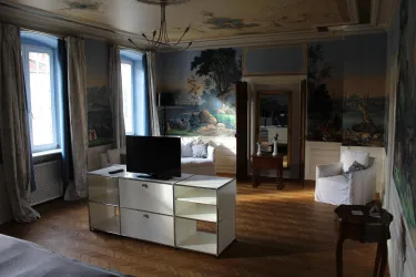 Ambientebild vom Wohn/Schlafzimmer