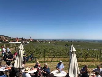 Weyher Weinpanorma 5 (© VereinSÜWEdenkoben)