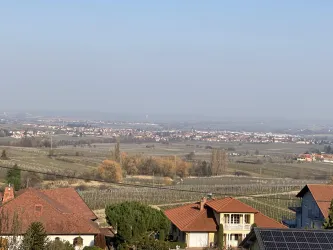 Ausblick von der Terrasse auf die Weinberge