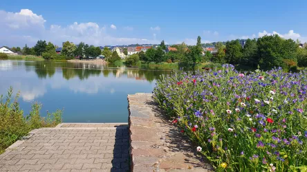 Stadtweiher im Frühling (© Horst Schulz)