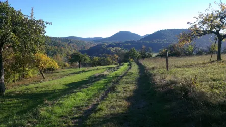 Spaziergang in der Umgebung