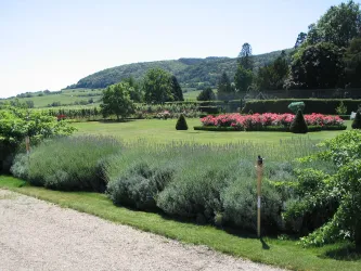 Bürklin-Wolf Garten (© Weingut Dr. Bürklin-Wolf)