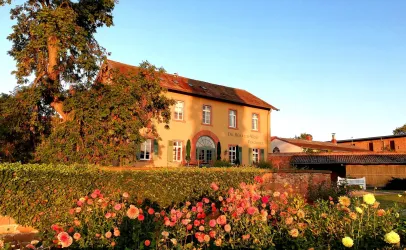 Vinothek (© Weingut Dr. Bürklin-Wolf)
