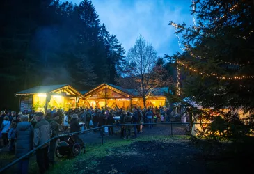 Waldweihnacht am Abend (© Südwestpfalz Touristik e.V.)