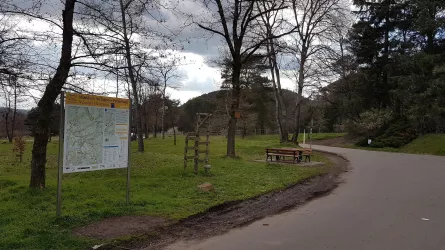 Wanderparkplatz zwischen Dahn/Erfweiler (© Anette Lang)