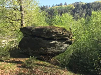 Kleiner teufelstisch nah