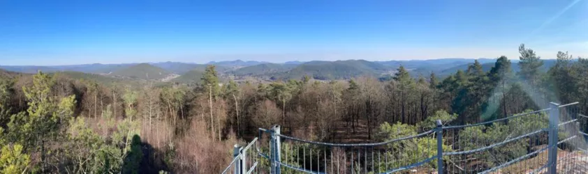 Blick vom Hühnerstein (© TI Hauenstein)