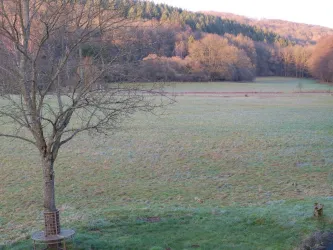 Blick ins Tal