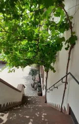 Treppe zum Weingut
