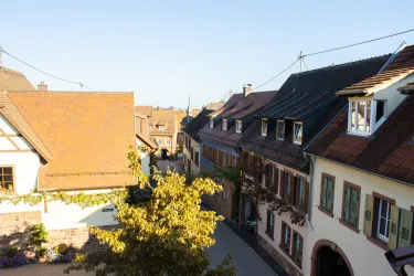 Blick aus Ferienwohnung (© Dimitri und Katharine Nazarenus)