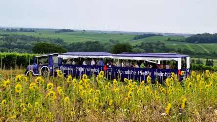 Pfefferexpress mit Sonnenblumen