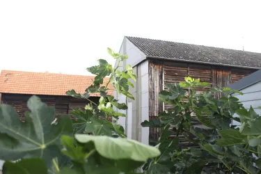 Umgebung
