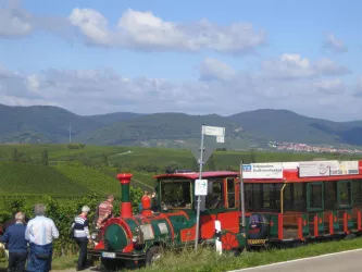 Südpfalzrundfahrt mit dem Schoppenbähnel (© Verein Südliche Weinstrasse Herxheim)