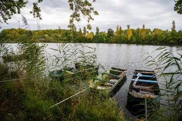 Boote am Altrhein
