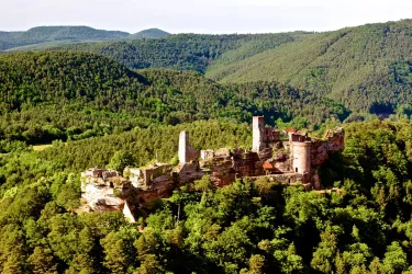 Burg Alt-Dahn Luftaufnahme (© Kurt Groß)