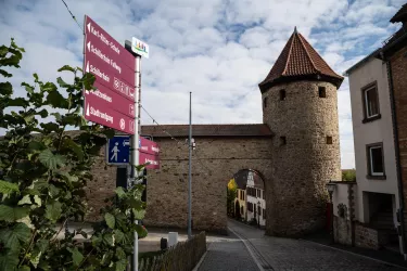 Stadtmauer mit Stadttor