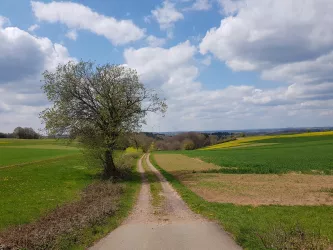 Panoramaweg Richtung Kaltenbrunnen