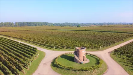 Weinberge bei Hochstadt