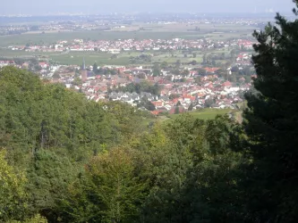 Deidesheim 01 Kopie