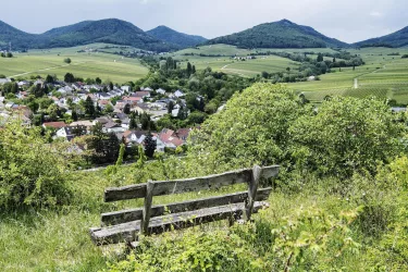 Blick von der Kleinen Kalmit über Ilbesheim