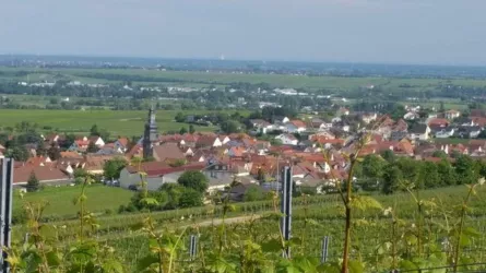 Kallstadt und Umgebung (© Urlaubsregion Freinsheim)