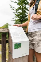 Infotafel Villa Rustica (© Rheinhessen Touristik GmbH Foto Dominik Ketz)