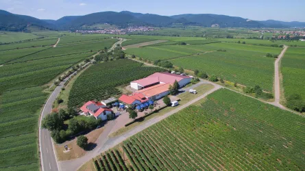 Ansicht Wingut (© Weingut Edel-Brauch)