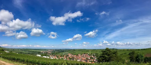 Panoramablick über Birkweiler