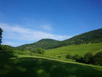 Blick auf den Hohenberg zur Kastanienblüte