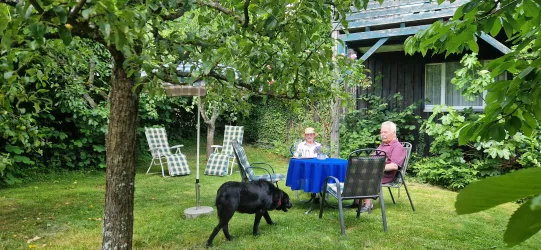 Garten (2)