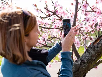 Das Fotomotiv im Pfälzer Frühling