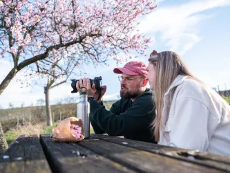 Pause mit Mandelsnacks und rosa Kulisse