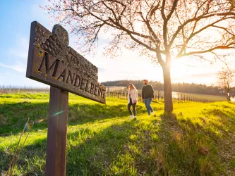 Der Mandelberg ist eine Weinlage bei Birkweiler