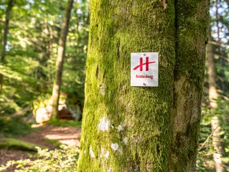 Wegemarkierung Holzlandweg auf Plakette im Wald