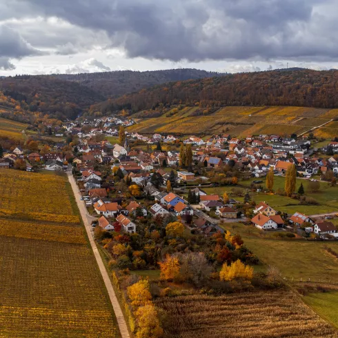 Pleisweiler-Oberhofen (© Tourismusverein  BZA)